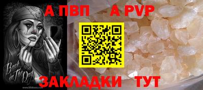 бошки Тверь